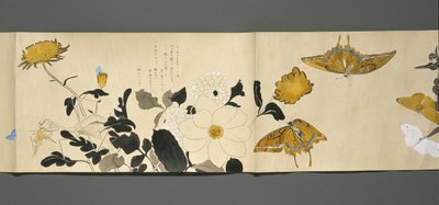 Wildlife Friends (Yasei no Tomo), Taisho Period, Taisho 7th Year, c.1918 by Ryoka Kawakami